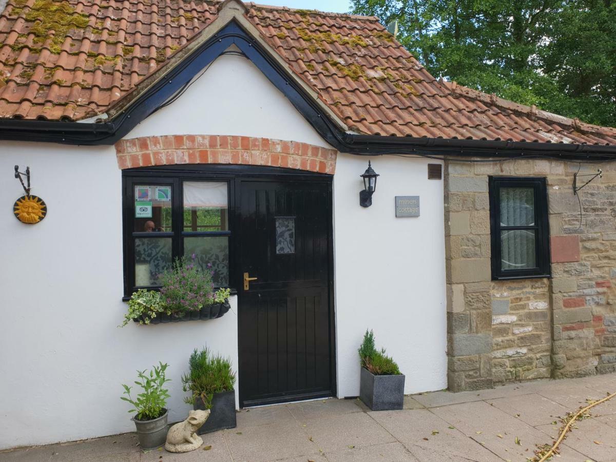 The Miners Cottage Whitecroft Exteriér fotografie